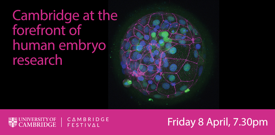 Cambridge at the forefront of human embryo research, 8 April 2022