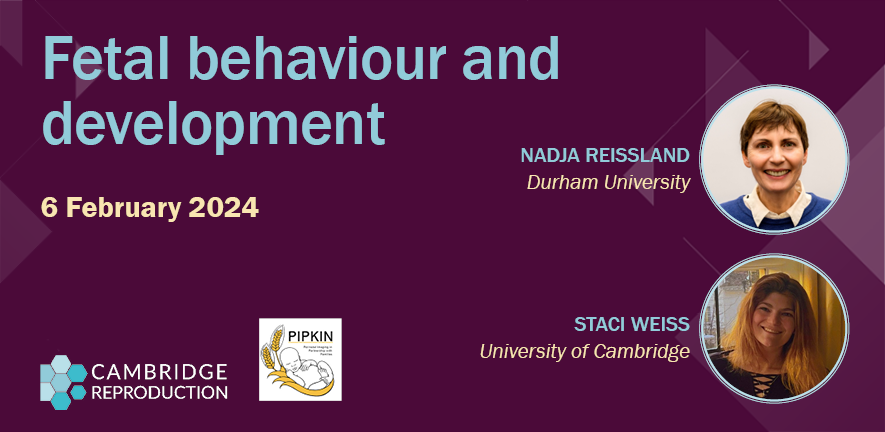 240205 Fetal behaviour & development seminar NEW carousel