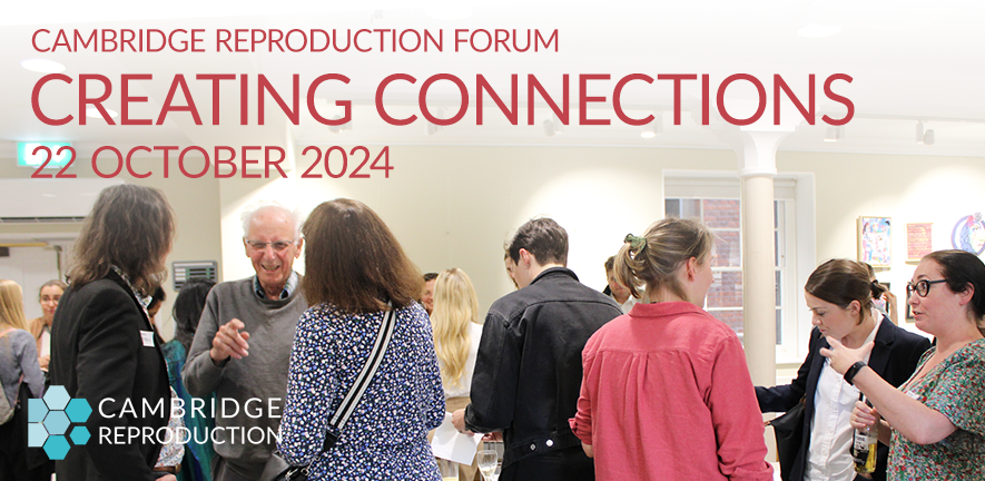 Creating Connections