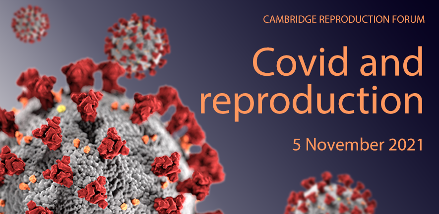 Covid and Reproduction - video