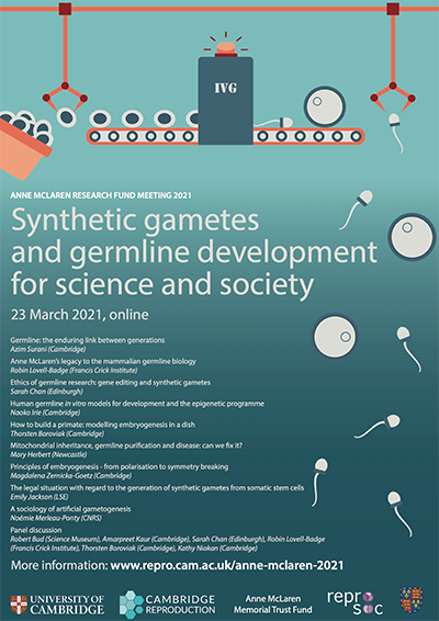 Synthetic gametes programme thumbnail