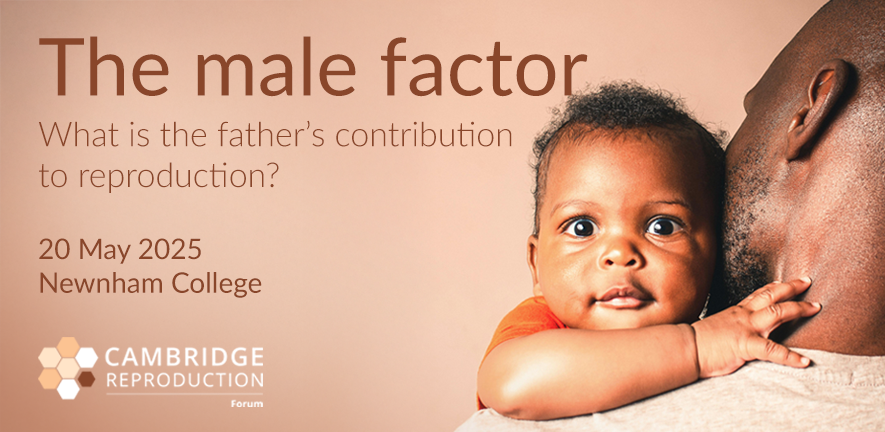 The male factor forum