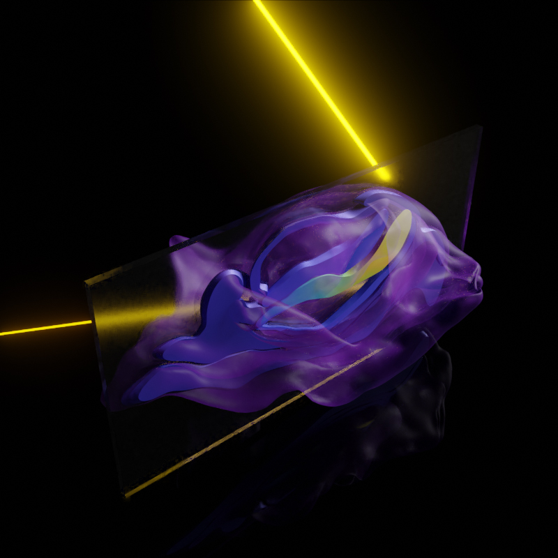 Laser-assisted analysis of a marmoset embryo after implantation (Image: University of Cambridge)