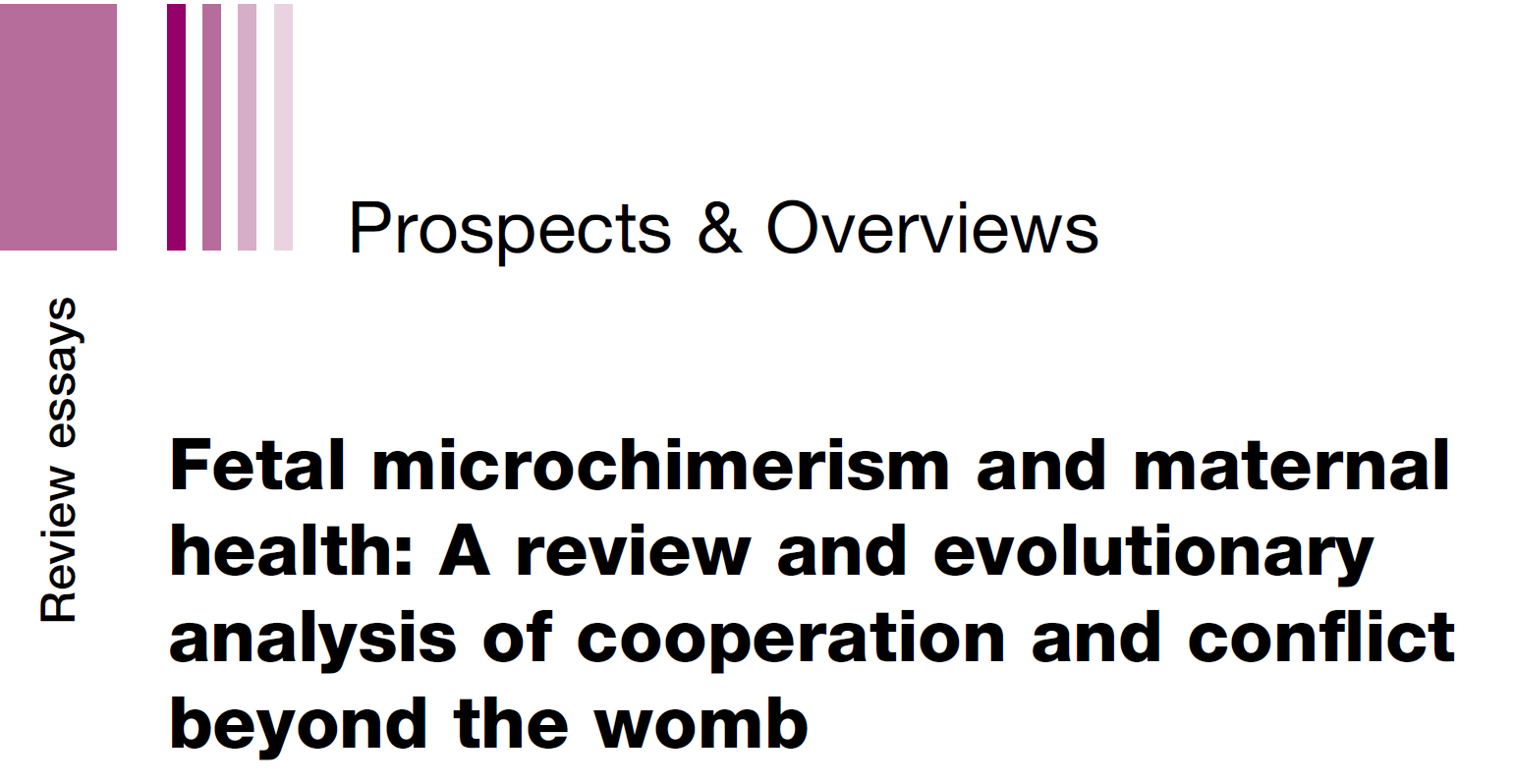 Microchimerism
