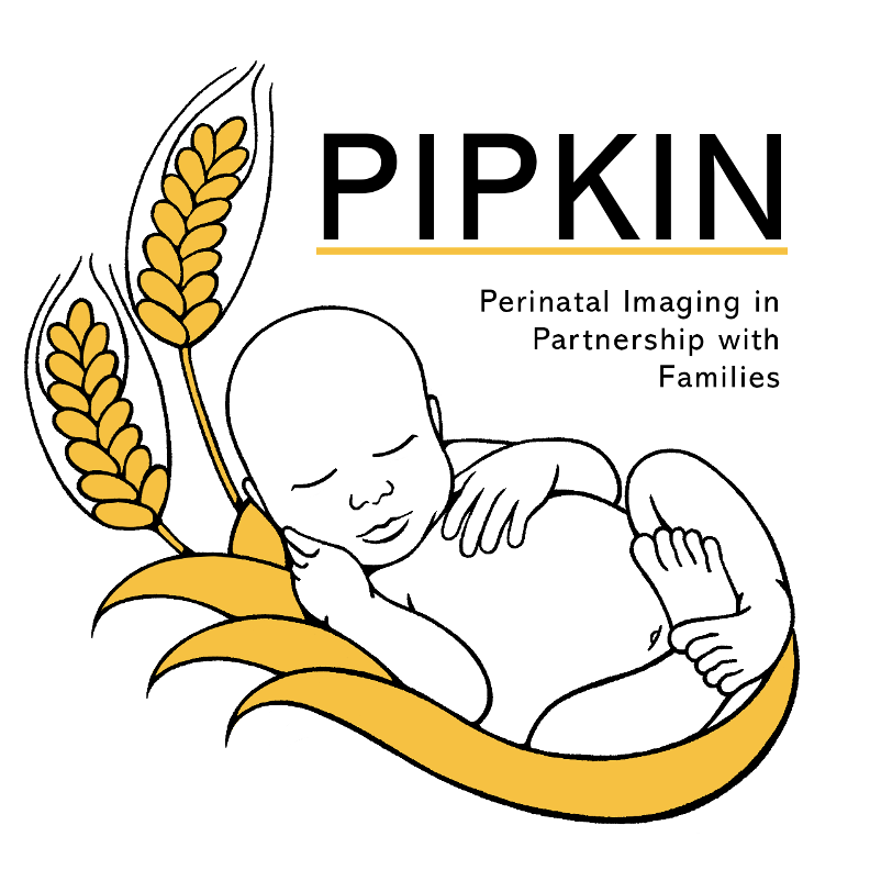 PIPKIN project logo