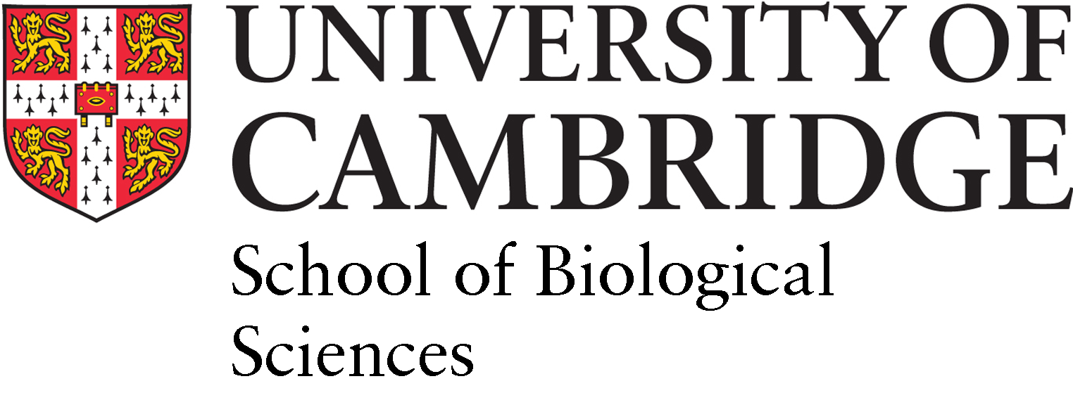 SBS logo