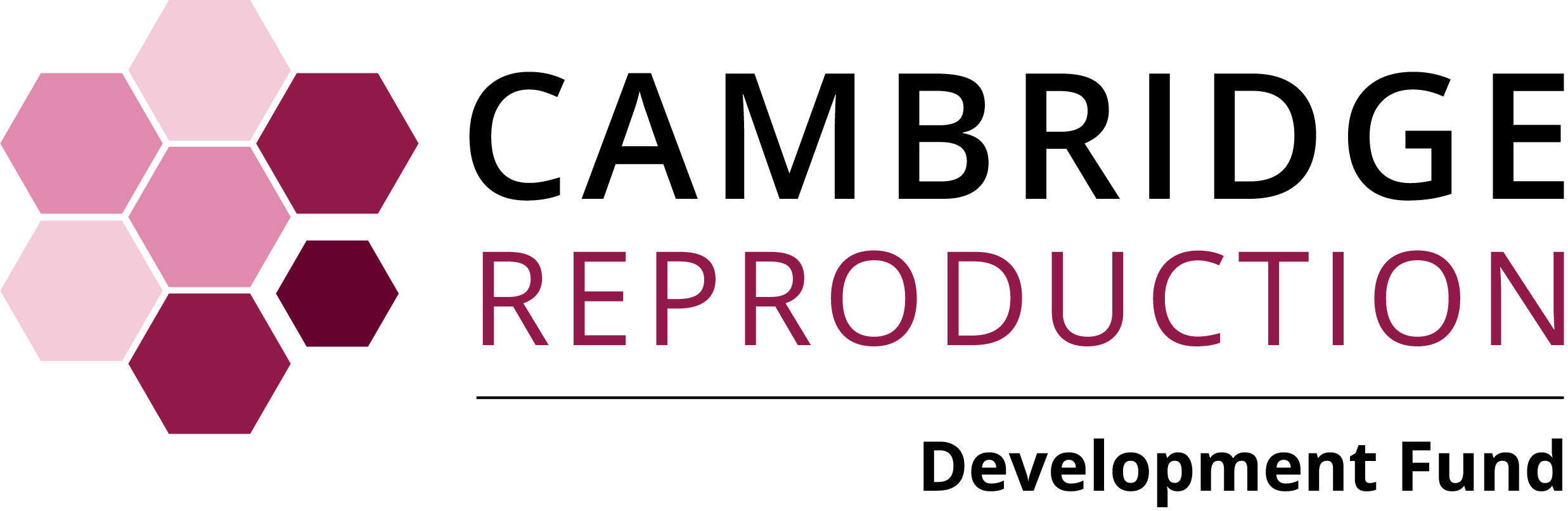 Development Fund logo