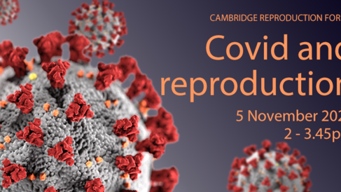 Covid and Reproduction, 5 November 2021