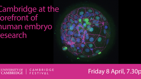 Cambridge at the forefront of human embryo research, 8 April 2022