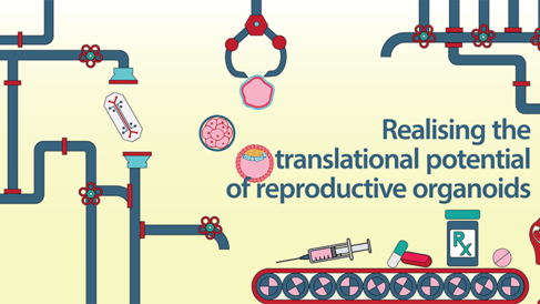 Workshop 'Realising the translational potential of reproductive organoids', July 2022 - carousel