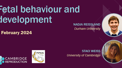 240205 Fetal behaviour & development seminar NEW carousel