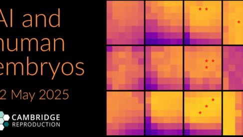 AI and human embryos workshop, 22 May 2025 (carousel)