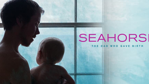 Seahorse film poster