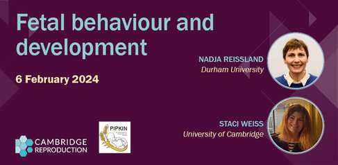 240205 Fetal behaviour &amp; development seminar NEW carousel