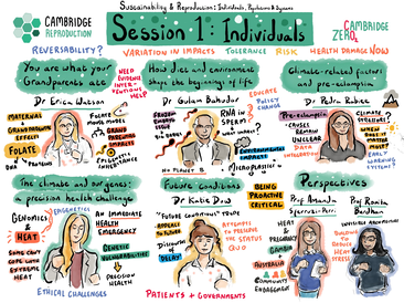 Live illustration from 'Reproduction and sustainability' workshop, November 2025