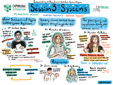 Live illustration from 'Reproduction and sustainability' workshop, November 2025