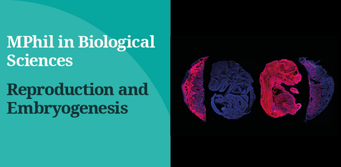 MPhil header image