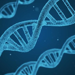 DNA