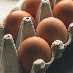 Partially empty egg box