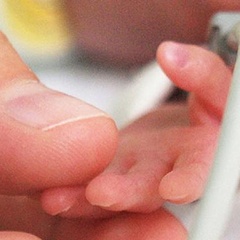 Mother is holding a tiny hand of her preterm baby that is in the NICU.  Credit: IvanJekic / E+ via Getty Images