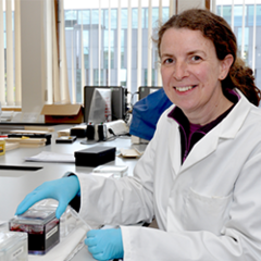 Dr Alison Forhead