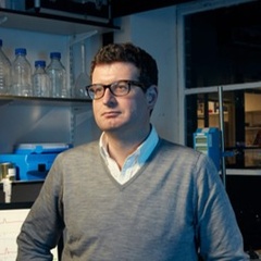Professor Andrew Murray 