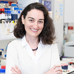 Dr Sumru Bayin