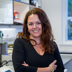 Dr Tereza Cindrova-Davies