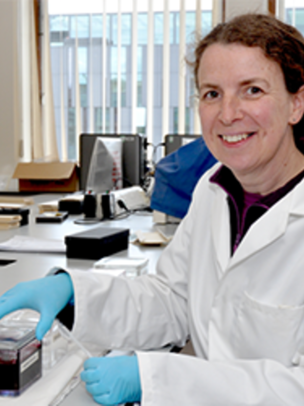 Dr Alison Forhead