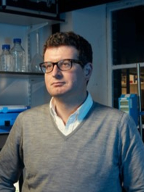 Professor Andrew Murray 
