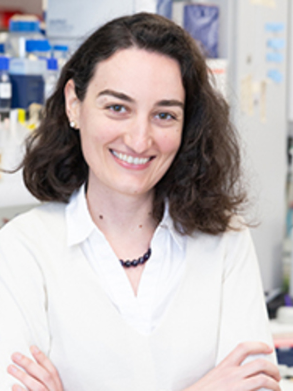 Dr Sumru Bayin