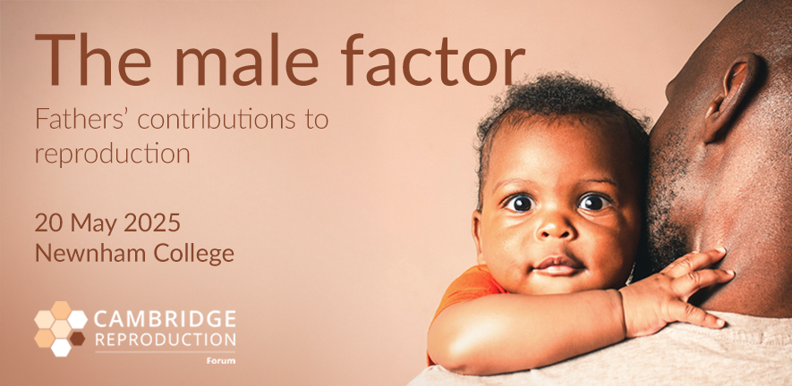 The Male Factor