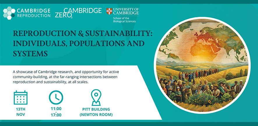 Sustainability & Reproduction - Individuals, Populations & Systems