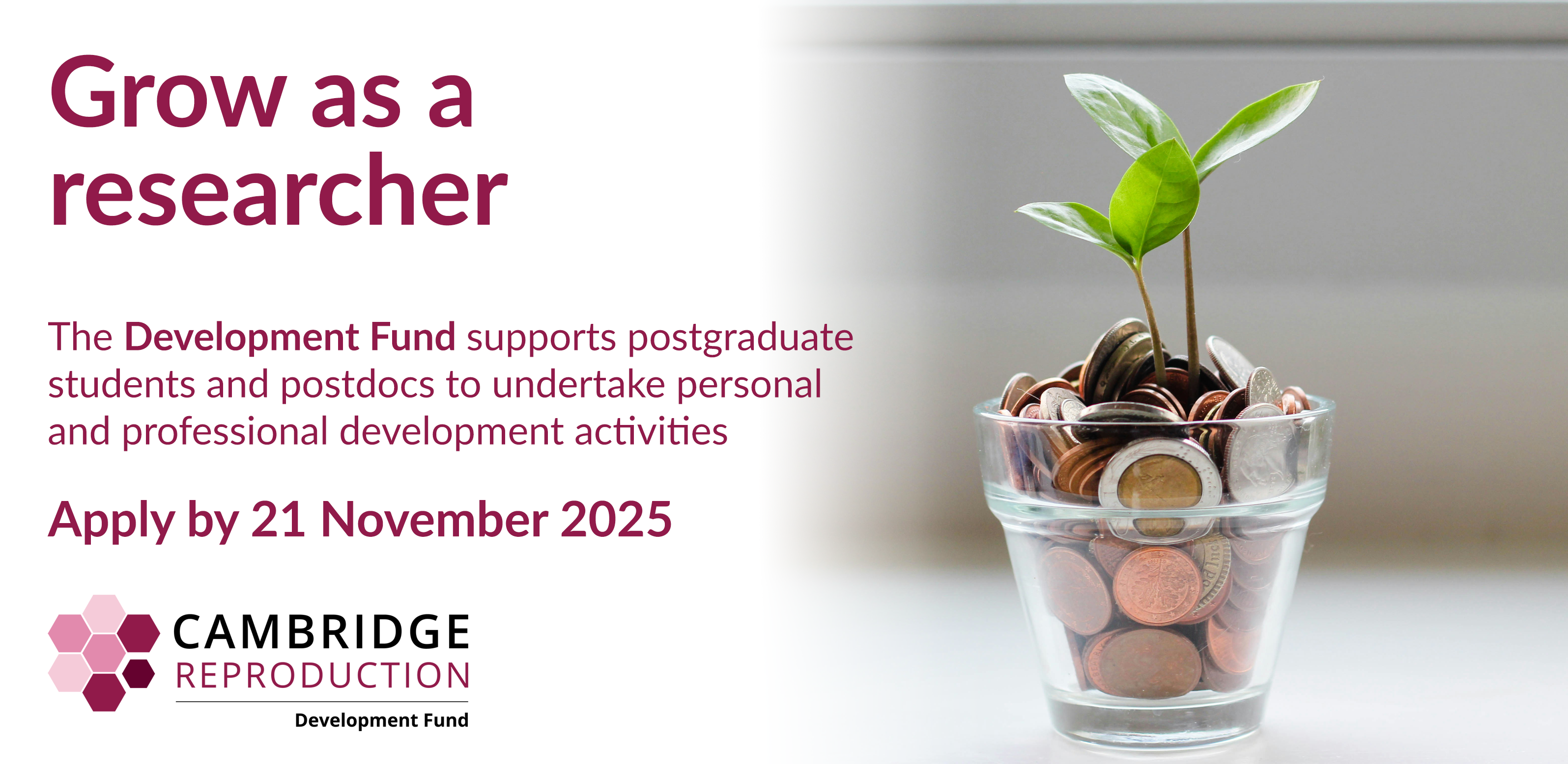 Development Fund - Open for Michaelmas Term