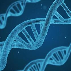 DNA