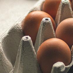 Partially empty egg box