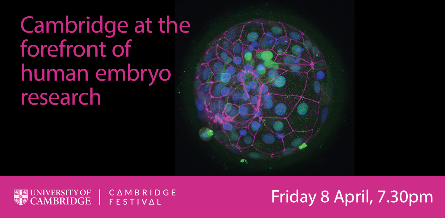 Cambridge at the forefront of human embryo research, 8 April 2022 Cambridge at the forefront of human embryo research, 8 April 2022