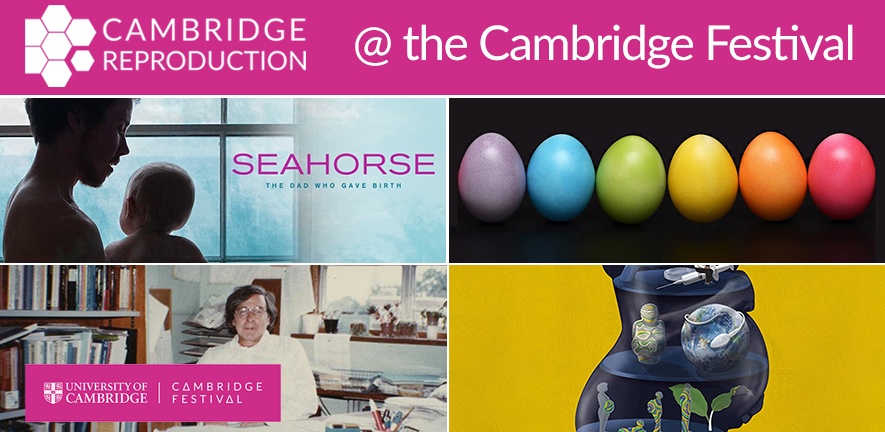 Cambridge Festival 2021 Cambridge Festival 2021