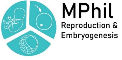 MPhil logo