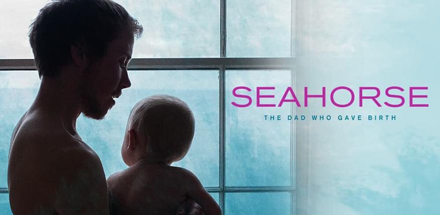Seahorse film poster